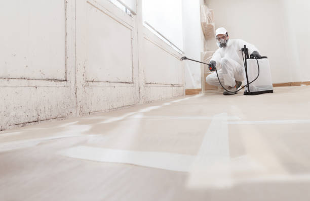 24/7 Emergency Basement Mold Remediation experts in Reinholds, PA