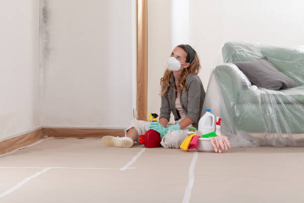 Reliable Basement Mold Remediation contractor in Reinholds, PA by WQB Mold Removal